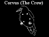 corvus.gif